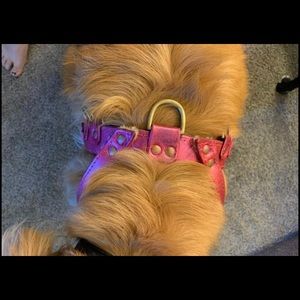 Iridescent pink to pearl Yup dog harness